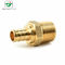 3/4''-X1&quot;MN Pex Barb Fitting Copper Male Adapter For Food Industry